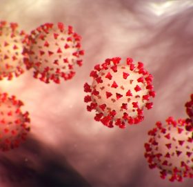 विश्वभर फैलियो डेल्टा भेरियन्ट