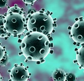 नेपालमा एकै दिन १४ जना कोरोना संक्रमित थपिए