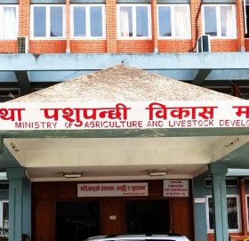 दुग्ध उत्पादन र गाईभैँसी धितो राखेर ऋण दिन कृषिले अर्थ मन्त्रालयलाई लेख्यो पत्र