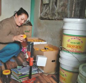 मह उत्पादन आधा घट्यो