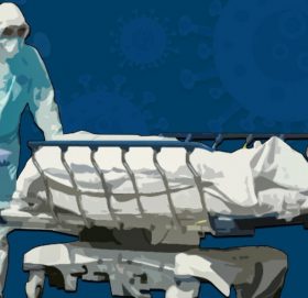 नेपालमाा कोरोनाले ज्यान गुमाउने ३९ मध्ये कुन प्रदेशमा कति ?