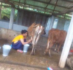 संघर्षको पर्यायवाची : चिर्दीकी शोभाको सफलताको कथा