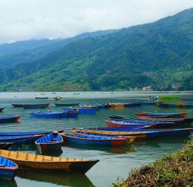 झापाका ओलीको पोखरामा ताण्डव