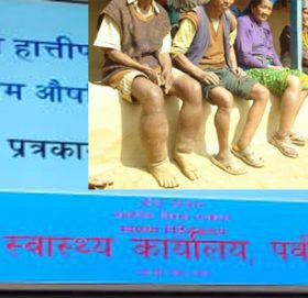 पर्वतको पाङ र खानीगाउँ हात्तीपाईलेको उच्च जोखिममा, ११औं चरणमा पनि सफल भएन अभियान