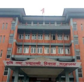 पिएका श्रीमतीदेखि बहिनीलाई नियुक्ति