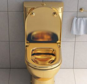 ट्राफिक पुलिसको घरमा भेटियो सुनको ट्वाइलेट !