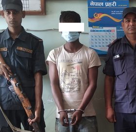 सर्लाहीबाट झण्डै १४ किलो गाँजासहित युवक पक्राउ