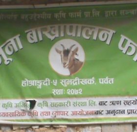 अनुदानका लागि शुरु गरिएका फर्म अलपत्र