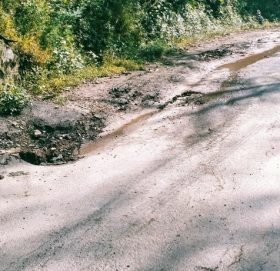 कालोपत्रे सडक १ वर्ष पनि टिकेन, टालो हालेको १० दिनमै उप्कियो