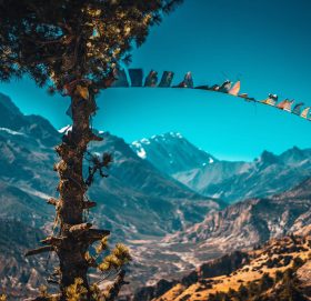 Environmental Consultancy