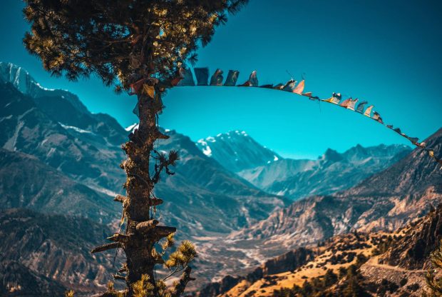 Environmental Consultancy