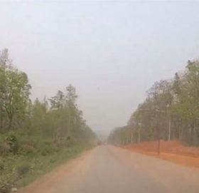 नारायणगढ–बुटवल सडक खण्ड विस्तारको काम सुस्त, भौतिक प्रगति ४१ दशमलव १७ प्रतिशत मात्रै