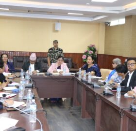 बेइजिङ कार्य मञ्च प्रतिवेदनबारे विज्ञ समूहसँग छलफल