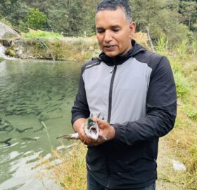 पर्वतमा रेन्बो ट्राउट माछा बेचेर वार्षिक तीन करोड आम्दानी