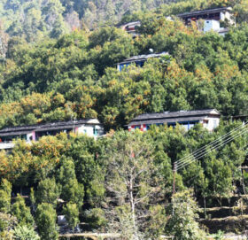 बासखर्कमा सुन्तला महोत्सव हुने