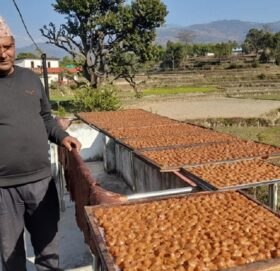 थानेश्वरको लप्सी मोह, यस वर्ष ७० लाखको व्यापार गर्दै