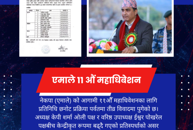पर्वत एमालेमा प्रतिनिधि छनोटमा विवाद चुलियो, लम्साललाई रोकिएपछि आन्तरिक द्वन्द्व सतहमा