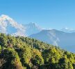 Annually Forest Fires Threaten Biodiversity and Water Sources in Parbat