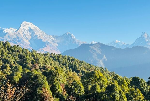 Annually Forest Fires Threaten Biodiversity and Water Sources in Parbat