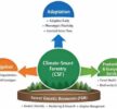 Multi-Stakeholder Forestry Programme Strengthened Climate Change Adaptation in Parbat’s Community Forests